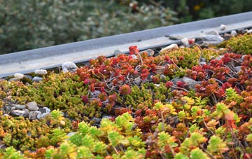 the cost of Ardess green roof installation