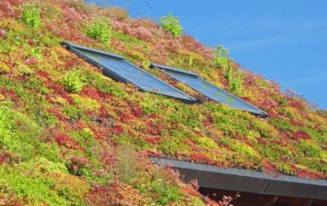 Ardess living roof systems